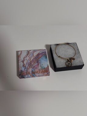 Alex and ani anchor bangle bracelet